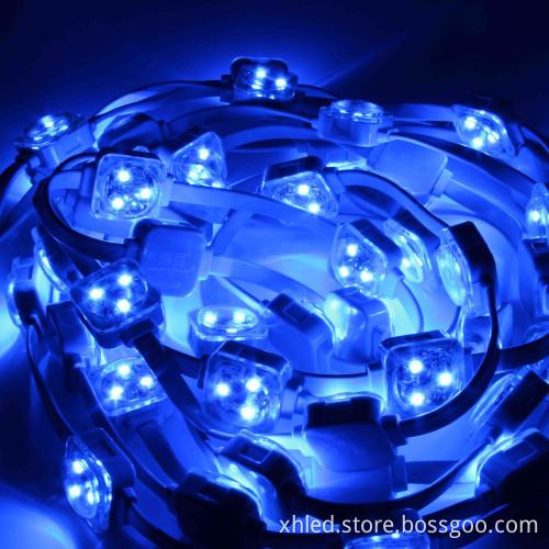 30000hrs Lifespan Full Color IP67 25mm SMD5050 0.75W DC12V Waterproof RGB Led Pixel Light String